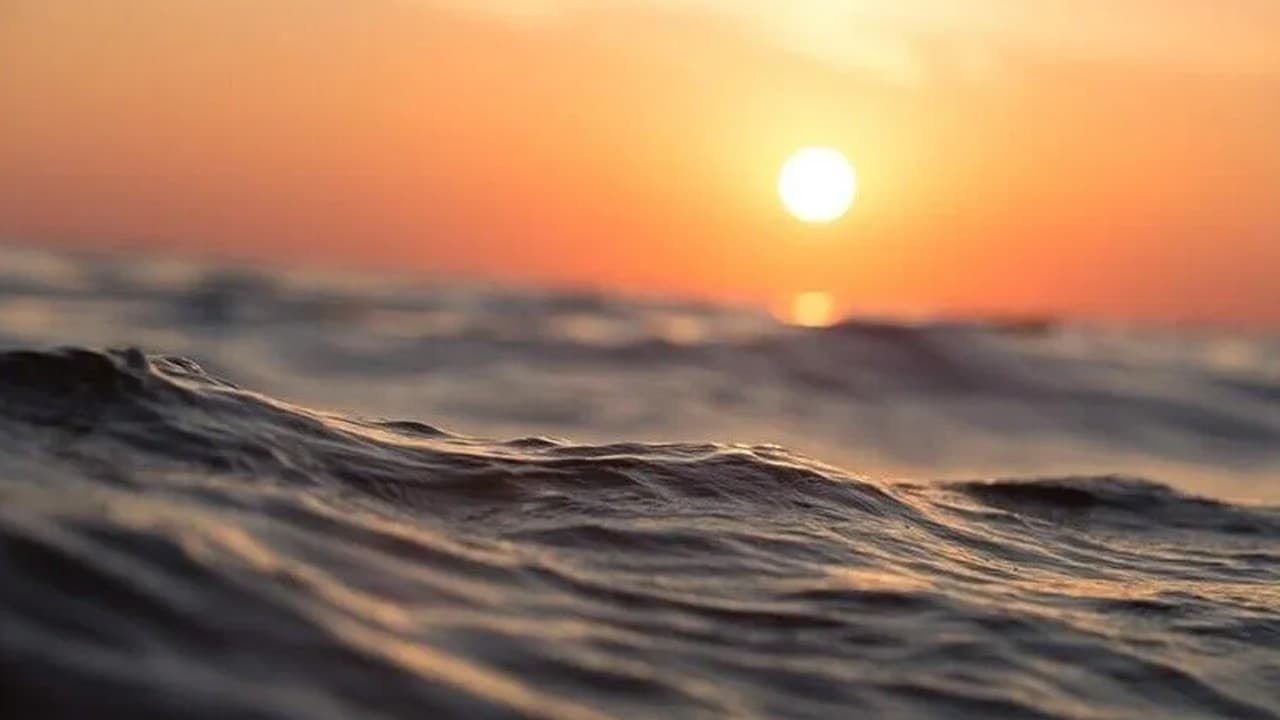 Okyanusların yüzde 90'ı sıcak deniz dalgası riski altında